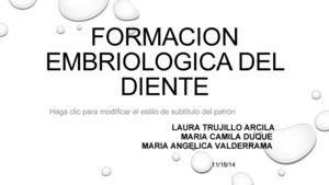 Formacion Embriologica Del Diente