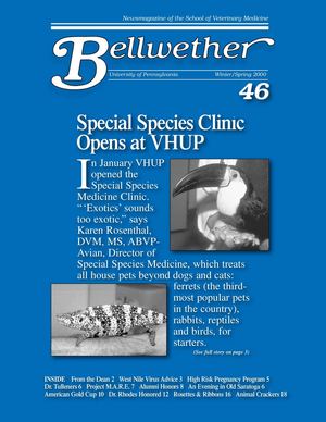 Bellwether 46, Winter/Spring 2000