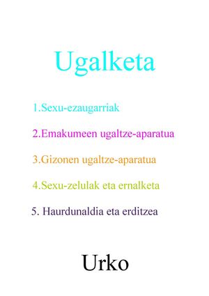 Ugalketa Urko Z