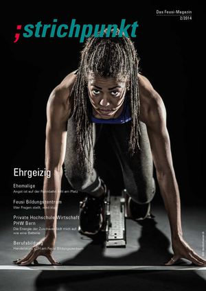 Strichpunkt 2/2014