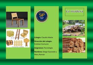 Triptico Elaboracion De Madera1