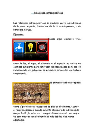 Relaciones Intraespecíficas