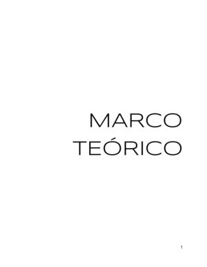 Marco Teórico