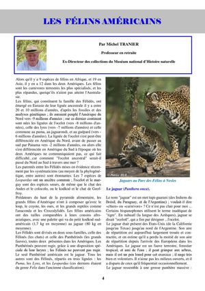 Les Félins Américains Par Michel Tranier Professeur En Retraite N°71