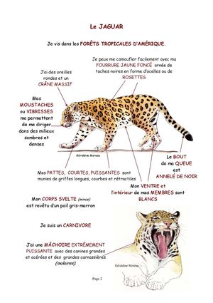 Le Jaguar N°67