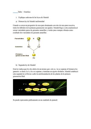 Taller De Genetica