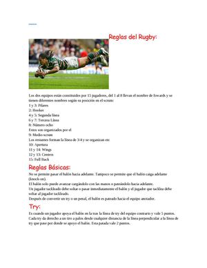 Reglas Del Rugby