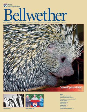 Bellwether 57, Summer 2003