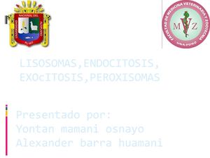 Lisosomas,endocitosis, Expocicion