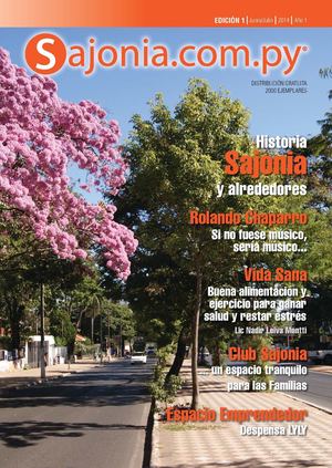 SAJONIA MAGAZINE #01