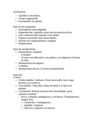 Artrópodos Y Cordados
