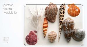 Victoria Tverdokhlib Portfolio