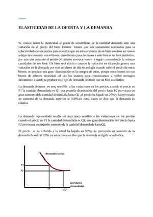 Elasticidad De La Oferta Y La Demanda