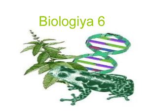 Prokariot Orqanizmlər