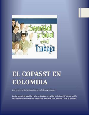 El Copasst En Colombia