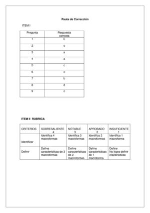 Pauta De Corrección
