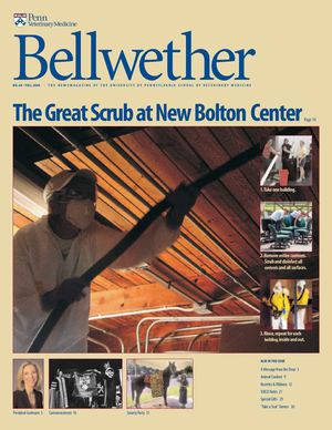 Bellwether 60, Fall 2004