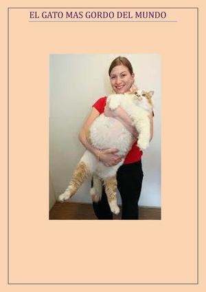 El Gato Mas Gordo Del Mundo Y El Cabello Mas Largo