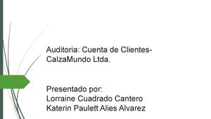 Auditoria Clientes