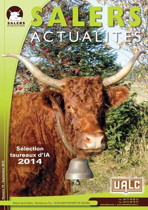 Salers 2015
