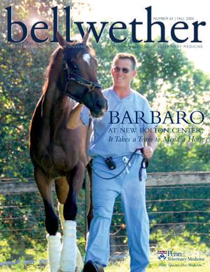 Bellwether 65, Fall 2006