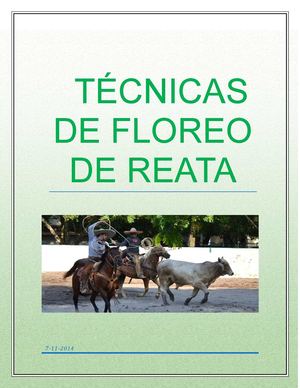 Técnicas De Floreo De Reata