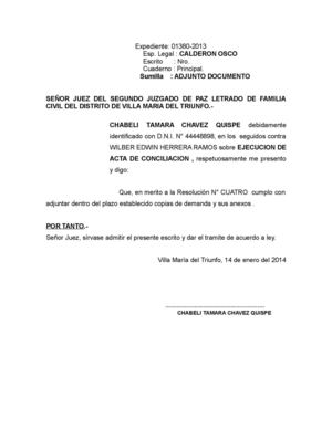 Adjunto Anexos Chabeli