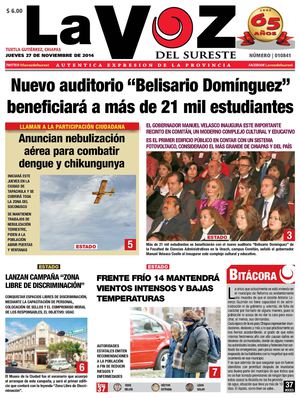 Diario La Voz del Sureste