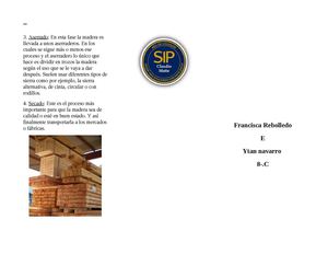 Proceso Productivo De La Madera