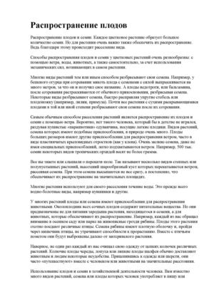 Распространение плодов