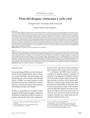 Dengue Ciclo Replicativo