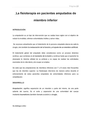 La Fisioterapia En Pacientes Amputados De Miembro Inferior