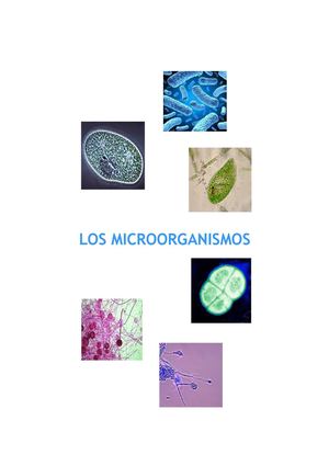 Los Microorganismos