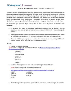 Plan De Mejoramiento 10 I Periodo Taller