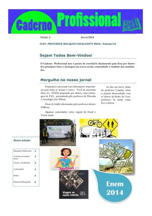 Jornal Virtual - Caderno Profissional - 2ª edição