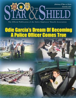 SEBA Star and Shield, Nov. 2014