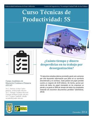 Material Teórico Técnicas De Productividad 5s