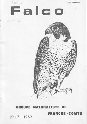 Falco 17 (1982).