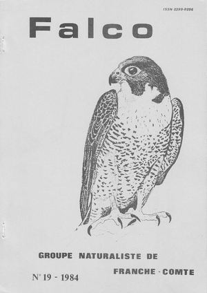 Falco 19 (1984).