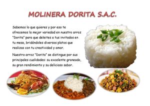Molinera Dorita Catalogo