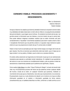 Sanvillacor Cerebro Visible Guía 4