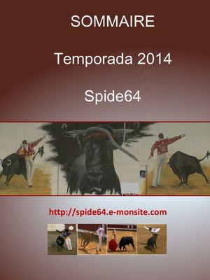 Sommaire Temporada 2014