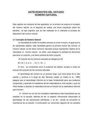 Antecedentes Numero Natural