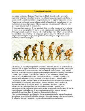 Evolución Del Hombre
