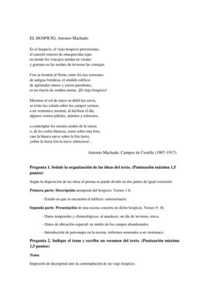 Machado SOL El Hospicio