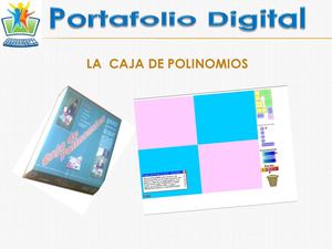 Portafolio Implementacion Caja De Polinomios