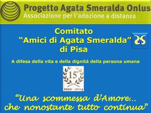 Storia Del Comitato Di Pisa
