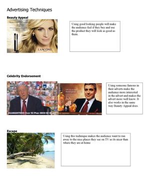 Advertising Techniques