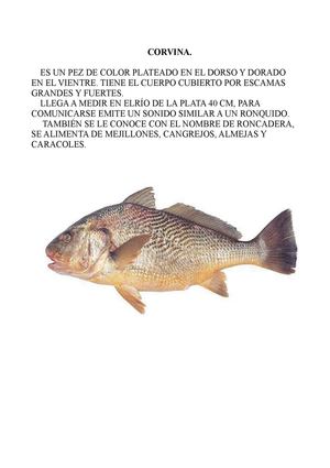 Los misterios del mar