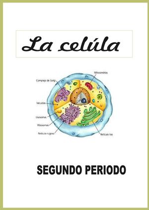 La Celula
